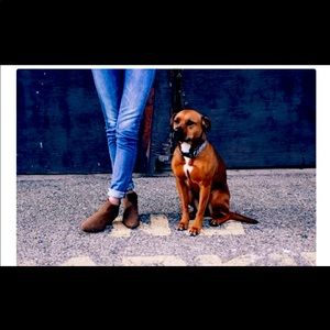 Timberland waterproof ankle boots